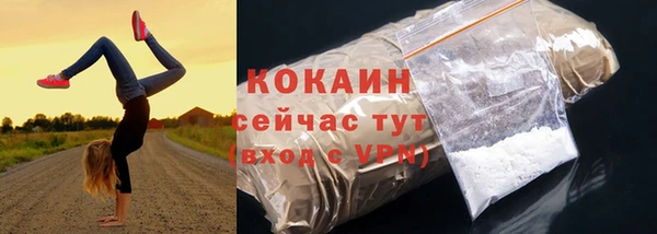 ALPHA PVP Остров