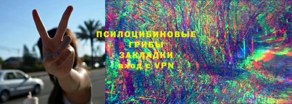 стафф Новозыбков