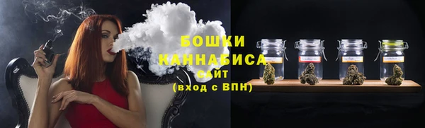 ALPHA PVP Остров