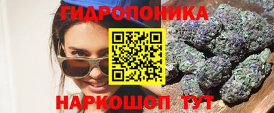 крисы Гагарин