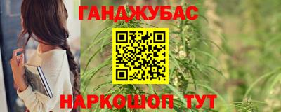 крисы Гагарин