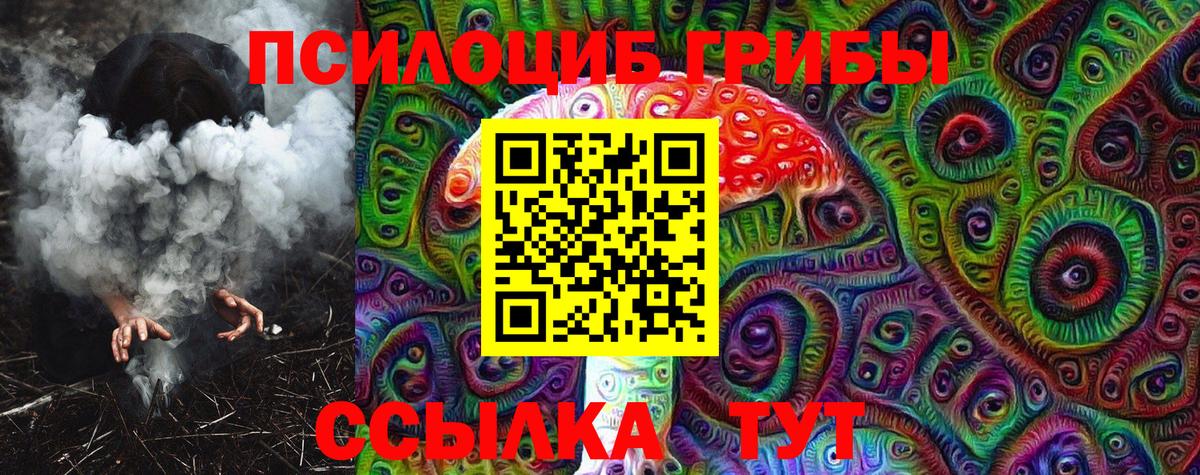 Галлюциногенные грибы Psilocybe Каменка