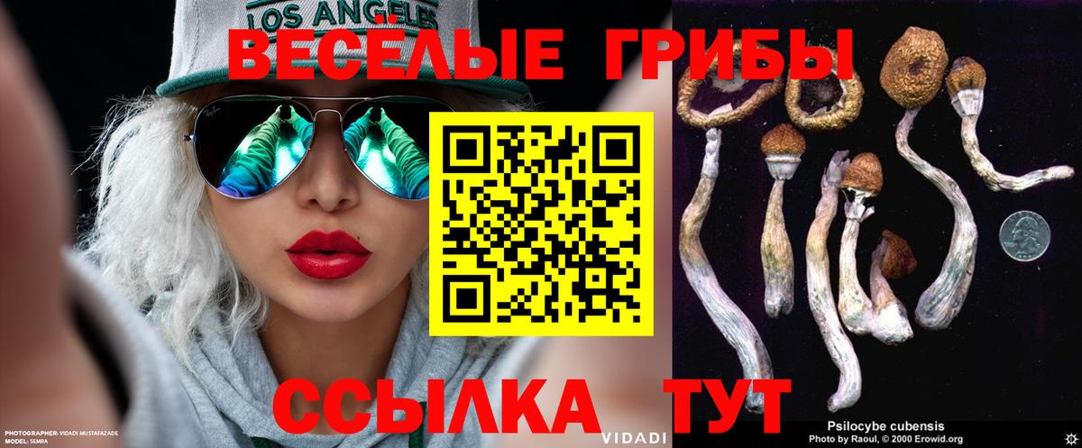 Галлюциногенные грибы мухоморы  Вход с VPN  Каменка 